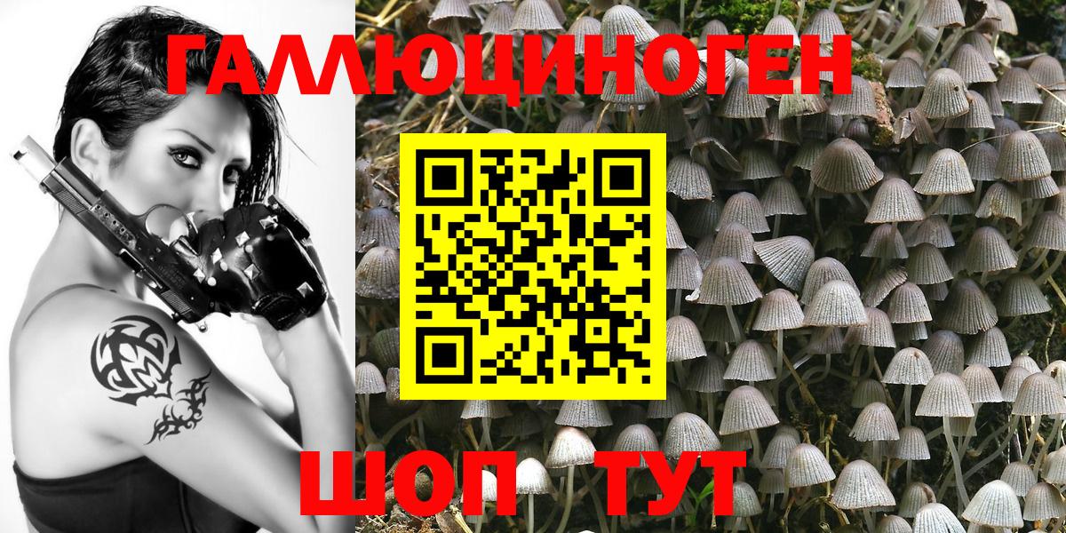 Псилоцибиновые грибы Psilocybe Нижний Новгород